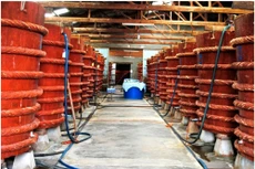 Kiểm tra hoạt động của Vinastas