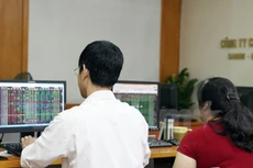 Ảnh minh họa. (Nguồn: PV/Vietnam+)