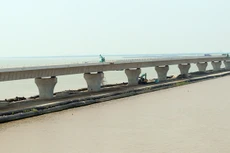 Ảnh chỉ mang tính minh họa.