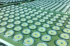 Phát triển sản phẩm LED cho nông nghiệp công nghệ cao