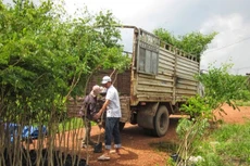 Một gói thầu được nhận định sẽ không có hiệu quả nhiều mặt, nhưng vẫn được triển khai vì ý thích của lãnh đạo tỉnh. Ảnh: Gia Nguyễn