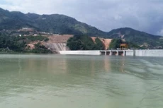 Thu hồi Giấy chứng nhận đầu tư Thủy điện Đakđrinh 2