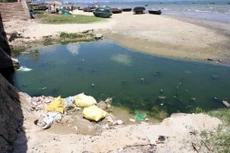 Ảnh chỉ mang tính minh họa. Nguồn Internet