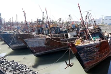 Tàu cá Trung Quốc đánh cá trái phép bị tuần duyên Hàn Quốc bắt neo tại cảng ở Incheon, Hàn Quốc, ngày 10/10. Ảnh: Reuters.