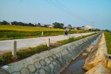 Dự án Phát triển nông thôn tổng hợp các tỉnh miền Trung - Khoản vay bổ sung gồm nhiều gói thầu. Ảnh: Nhã Chi