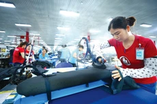 Mức tăng trưởng tín dụng 6% trong nửa đầu năm 2024 phản ánh diễn biến tích cực của hoạt động sản xuất, kinh doanh và cho thấy các giải pháp kích cầu của Chính phủ đã “ngấm” dần vào nền kinh tế. Ảnh: Lê Tiên