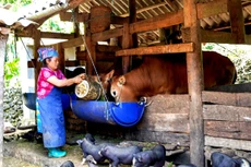 Cơ sở dữ liệu về giám sát, đánh giá các chương trình mục tiêu quốc gia sẽ cung cấp thông tin cho quá trình phân tích, đánh giá và hoạch định chính sách có liên quan. Ảnh: Hà Linh