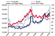 Diễn biến tỷ giá USD/VND (nguồn: Báo cáo triển vọng kinh tế vĩ mô Việt Nam tháng 3, MBS)