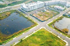 Giá đất trúng đấu giá là một trong những thông tin đầu vào quan trọng để xác định giá đất theo các phương pháp định giá đất. Ảnh: Lê Tiên