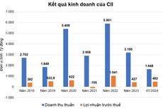 Nguồn: Báo cáo tài chính đã kiểm toán của CII