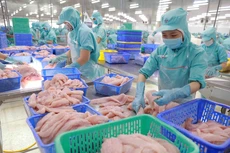 Xuất khẩu cá tra ước đạt 725 triệu USD trong 5 tháng đầu năm