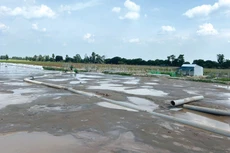 Nhà thầu bơm cát nền đường chính cao tốc Cao Lãnh - An Hữu. Ảnh: Ngọc Tuấn