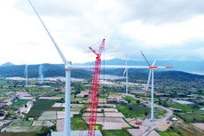 Dự thảo Luật Điện lực (sửa đổi) đang trong quá trình xây dựng có quy định về lựa chọn nhà đầu tư thực hiện dự án điện, nhưng chưa xác định cụ thể trường hợp dự án phải tổ chức đấu thầu. Ảnh: Lê Tiên