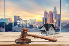 Đấu giá đất dự án khu nhà ở thương mại tại Sapa