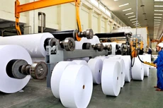 3 gói thầu mua giấy in phục vụ in sách giáo dục năm học 2024 - 2025 áp dụng quy định về ưu đãi đối với hàng hóa sản xuất trong nước. Ảnh: Tiên Giang