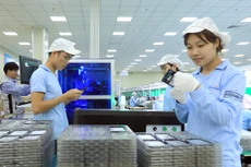 Tính từ ngày 1 - 15/1/2024, thặng dư thương mại hàng hóa đạt gần 385 triệu USD. Ảnh: Nhã Chi