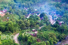 Ảnh minh hoạ