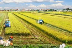 Ảnh minh họa: Internet