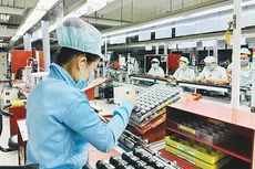 Ảnh minh họa: Internet