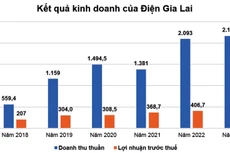 Nguồn: Báo cáo tài chính Công ty CP Điện Gia Lai. Đơn vị tính: tỷ đồng