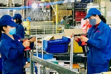 Ảnh minh họa: Internet