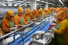 Để phát triển, doanh nghiệp phải vượt qua bài toán “xanh” trong hoạt động sản xuất, tiết kiệm năng lượng, xử lý tốt tái chế chất thải... Ảnh: Lê Tiên