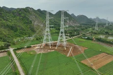 Đường dây 500kV Thanh Hóa - Nam Định hoàn thành đóng điện vào trưa ngày 30/6/2024