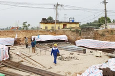 Kết quả lựa chọn nhà thầu công bố chậm ngày 20/3/2024