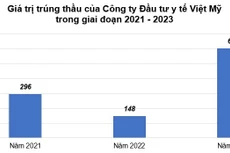 Công ty CP Đầu tư y tế Việt Mỹ: Trúng nhiều gói thầu thiết bị y tế, tỷ suất sinh lời ra sao?