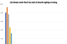 Nguồn: Báo cáo tài chính của các doanh nghiệp; đơn vị tính: tỷ đồng