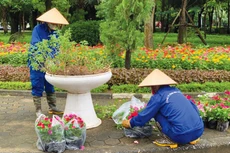 Nhiều gói thầu cung cấp dịch vụ trồng, chăm sóc cây xanh, vệ sinh công nghiệp, giặt ủi đưa ra yêu cầu không phù hợp đối với nhân sự chủ chốt. Ảnh: Lê Tiên