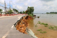 Nhiều gói thầu xử lý sạt lở, nâng cấp hệ thống đê tại An Giang từ năm 2017 – 2023 bộc lộ nhiều vi phạm, bất cập. Ảnh minh họa: Công Mạo