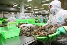 Xuất khẩu thủy sản được dự báo phục hồi nhẹ trong năm 2024, với kim ngạch đạt 9,5 - 10 tỷ USD. Ảnh: Lê Tiên