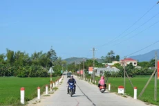 Hà Nội: 1 nhà thầu dự gói thầu giao thông 134 tỷ đồng tại Ứng Hòa