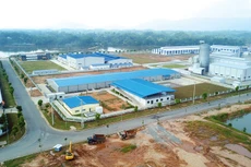 Nghị định số 32/2024/NĐ-CP nêu rõ, đầu tư xây dựng hạ tầng cụm công nghiệp là ngành, nghề đặc biệt ưu đãi đầu tư. Ảnh: Lê Tiên