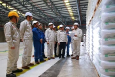 Ban lãnh đạo Công ty thị sát khu vực chứa sản phẩm PP định hình nhiệt TF4035 chuẩn bị giao cho khách hàng