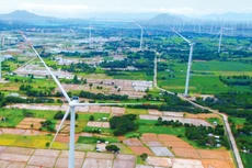 Cơ chế DPPA là khung pháp lý quan trọng để nhà đầu tư tham gia các dự án năng lượng tái tạo. Ảnh: Lê Tiên