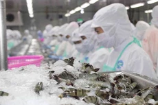 Mỹ tiếp nhận hồ sơ đề nghị rà soát hành chính thuế chống bán phá giá sản phẩm từ Việt Nam