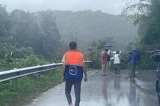 PTI huy động nhiều nhân sự đến hiện trường, hỗ trợ khắc phục thiệt hại sau bão Yagi