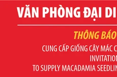 Thông báo mời thầu cung cấp giống cây mác ca