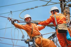 Công nhân ngành điện kiểm tra, bảo dưỡng thệ thống truyền tải. Ảnh: Lê Tiên