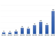 Số lượng quyết định xử phạt tổ chức, cá nhân vi phạm trong hoạt động đấu thầu đã được công bố qua các năm (Nguồn: Hệ thống mạng đấu thầu quốc gia)