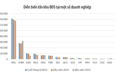 Nguồn: Báo cáo tài chính hợp nhất các doanh nghiệp