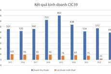 Nguồn: Báo cáo tài chính hợp nhất của CIC39