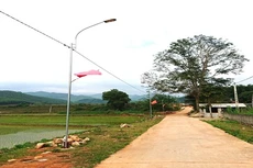 Kết quả lựa chọn nhà thầu công bố chậm ngày 29 - 31/3/2024