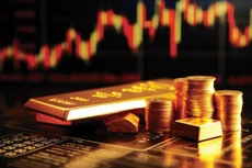 Thực hiện ngay việc thanh tra, kiểm tra chuyên ngành đối với thị trường vàng