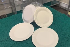 Mỹ khởi xướng điều tra chống bán phá giá đĩa giấy nhập khẩu từ Việt Nam