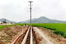 Công ty CP Tư vấn điện Pacific trúng Gói thầu Tư vấn khảo sát, lập hồ sơ thiết kế, dự toán hạng mục di chuyển đường điện thuộc Dự án cao tốc Đồng Đăng - Trà Lĩnh với giá 2,104 tỷ đồng. Ảnh minh họa: SL