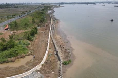 Dự án Cù lao Tân Vạn (Đồng Nai): Bờ kè lấn chiếm rạch Bà Lồ?
