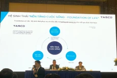 Tasco đặt mục tiêu tổng doanh thu năm 2022 là 11.400 tỷ đồng, lợi nhuận sau thuế 250 tỷ đồng